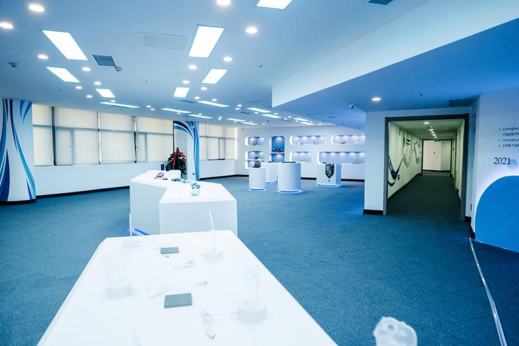 互联网家电零售、进出口与网络技术服务 业务协同与发展路径